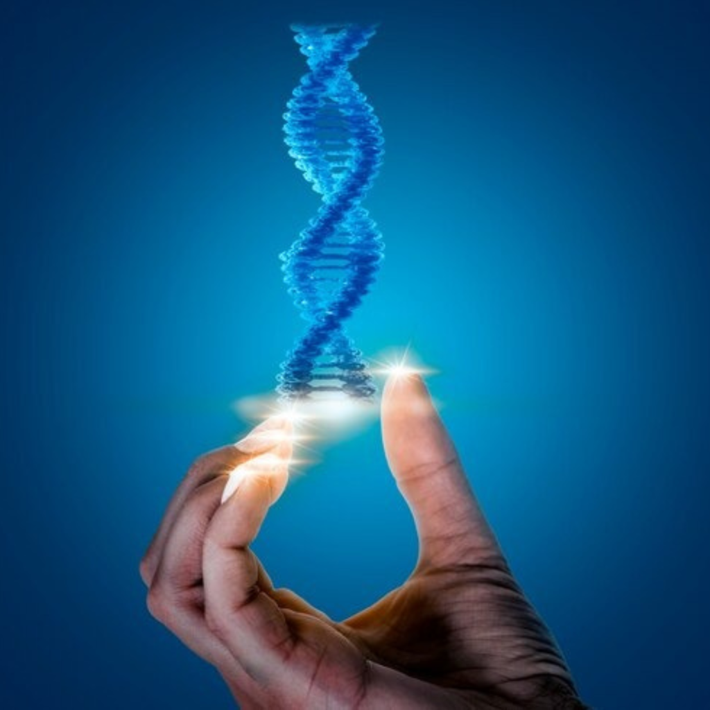Ancestral / DNA Healing
