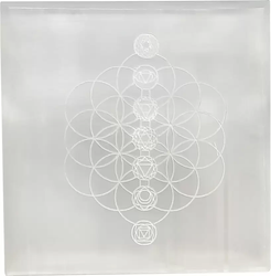 Remove Blocked Energy Selenite Charging Plate